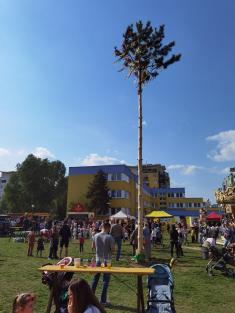 Majáles - Street food festival 