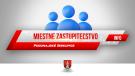 Miestne zastupiteľstvo